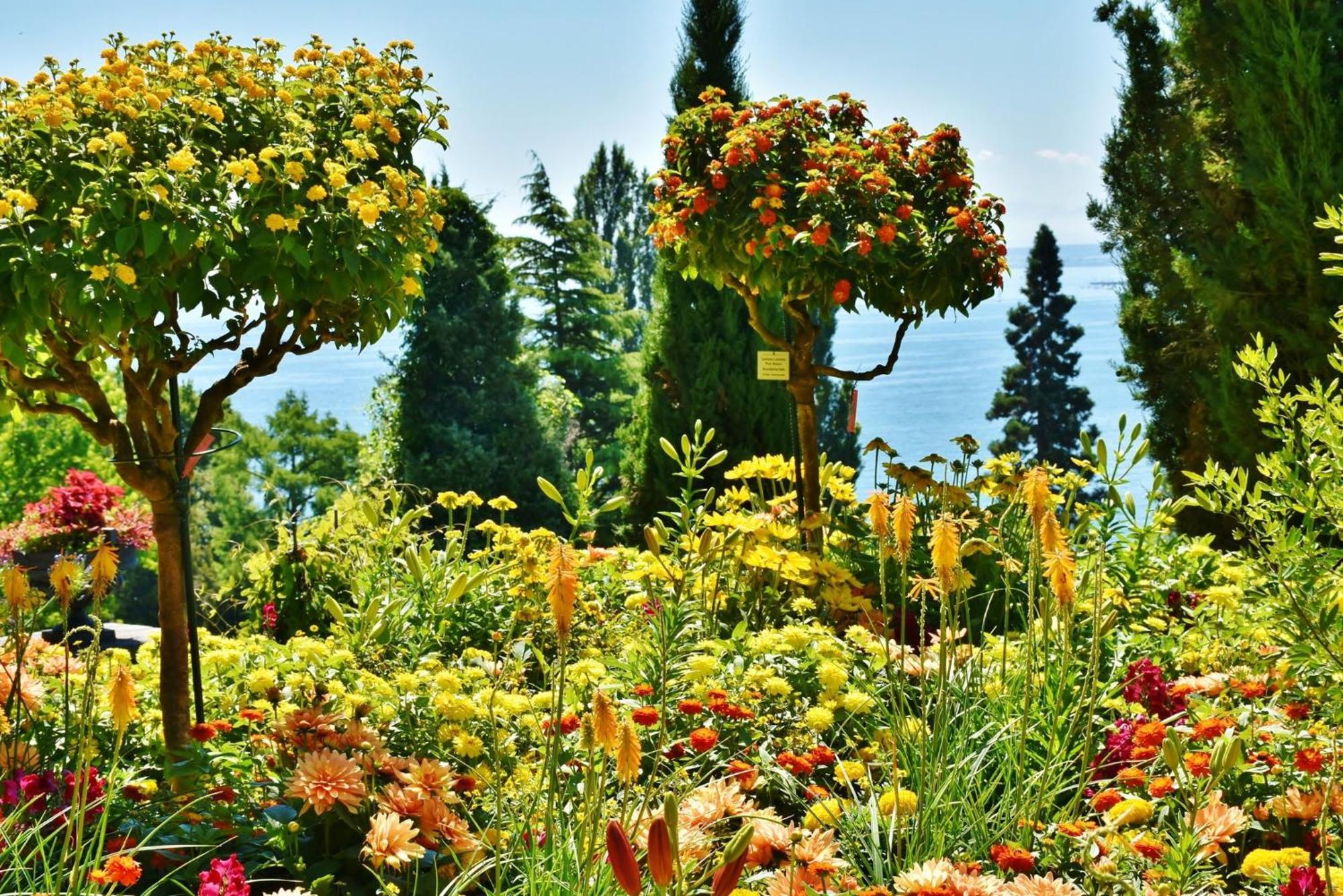 Holiday Inn - The Niu, Flower Konstanz By Ihg Buitenkant foto